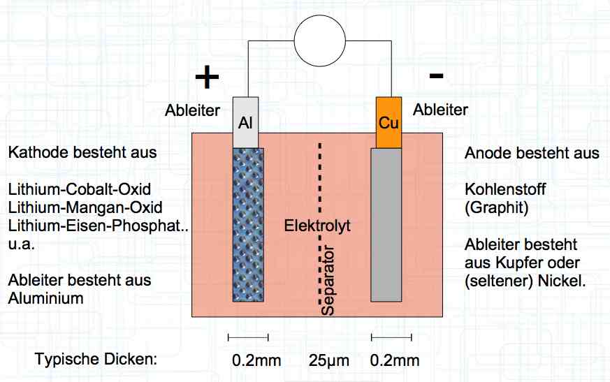 Cell Structure